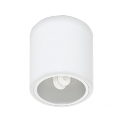 Lampa stropowa DOWNLIGHT white S