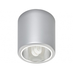 Lampa stropowa DOWNLIGHT silver M