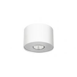 Lampa stropowa POINT WHITE SILVER / WHITE GRAPHITE S