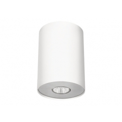 Lampa stropowa POINT WHITE SILVER / WHITE GRAPHITE L