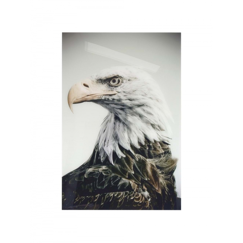 Plakat eagle na plexibond